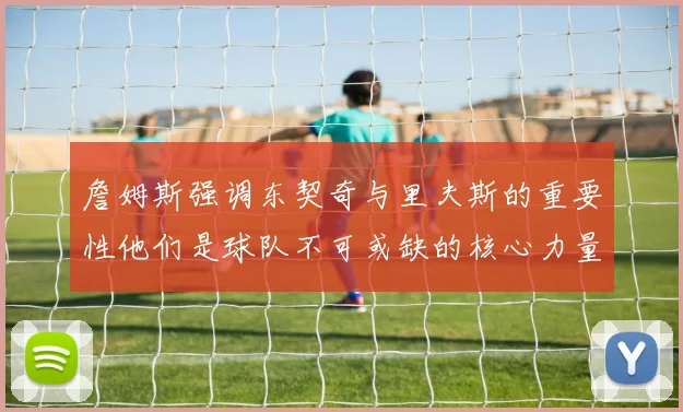 詹姆斯强调东契奇与里夫斯的重要性他们是球队不可或缺的核心力量